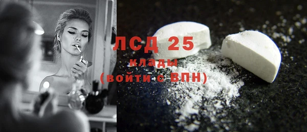 дмт Гусев