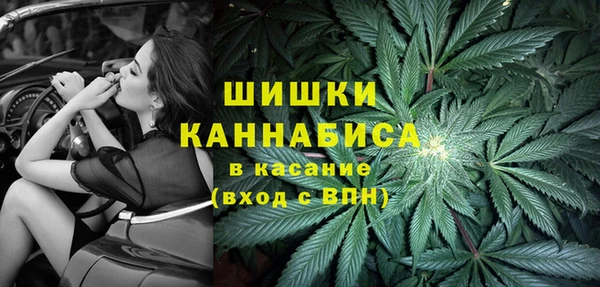 мет Гусиноозёрск