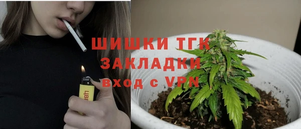 дмт Гусев