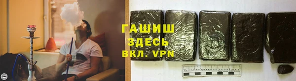 дмт Гусев