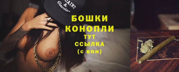 мет Гусиноозёрск