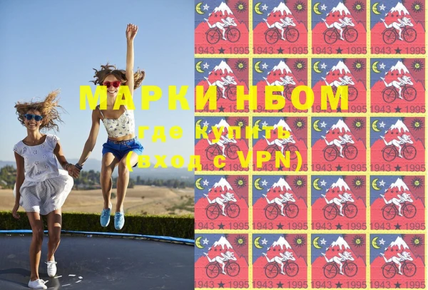 дмт Гусев