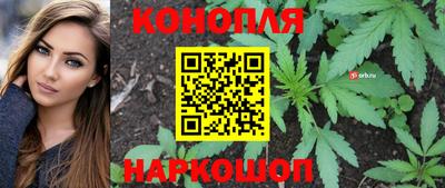 стаф Балаково