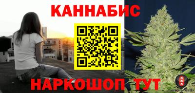 амф Кингисепп